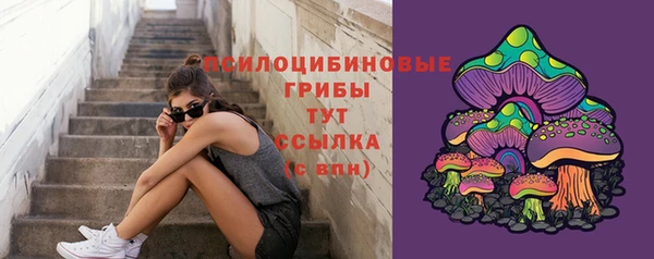 эйфоретик Алексин