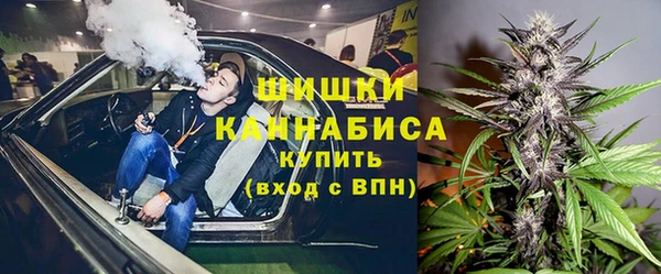 стафф Алзамай