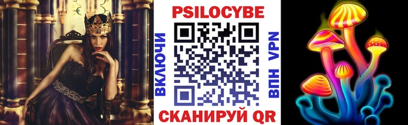 Галлюциногенные грибы Psilocybe  как найти   Андреаполь 