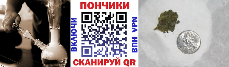 MEGA как войти  магазин продажи наркотиков  Андреаполь  Бошки марихуана Bruce Banner 